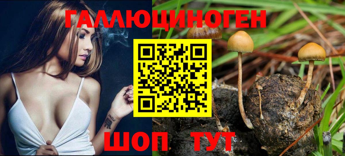 Псилоцибиновые грибы ЛСД Миллерово